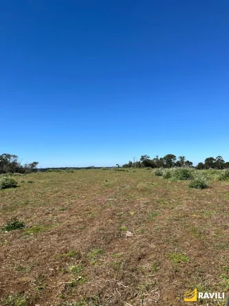 Terreno Rural à Venda em Curitibanos!