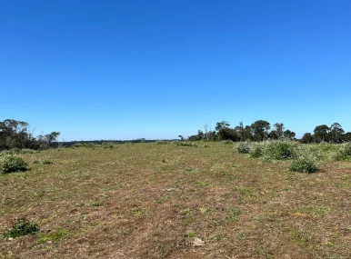 Terreno Rural à Venda em Curitibanos!