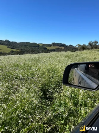 Terreno Rural à Venda em Curitibanos!