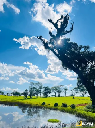 A Casa Greco-Romana: Um Sonho para Quem Busca Tranquilidade e Contato com a Natureza!
