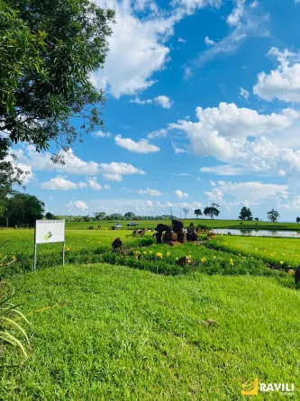 A Casa Greco-Romana: Um Sonho para Quem Busca Tranquilidade e Contato com a Natureza!