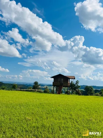 A Casa Greco-Romana: Um Sonho para Quem Busca Tranquilidade e Contato com a Natureza!