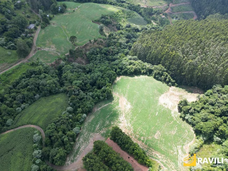 Sítio em Nova Petrópolis Joaçaba, para à Venda!