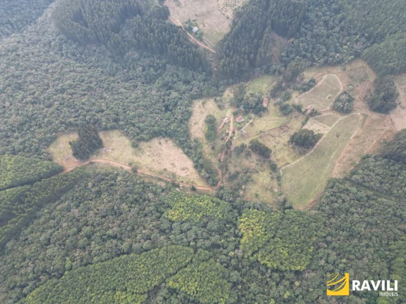 Sitio à Venda em Herval d'Oeste com 29 hectares.