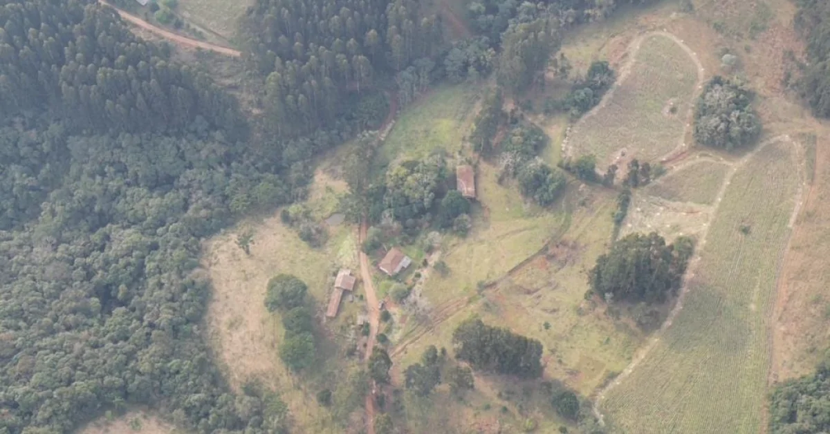 Sitio à Venda em Herval d'Oeste com 29 hectares.