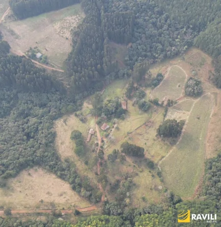 Sitio à Venda em Herval d'Oeste com 29 hectares.