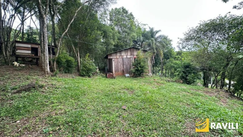 Sitio para venda em Sede Belem