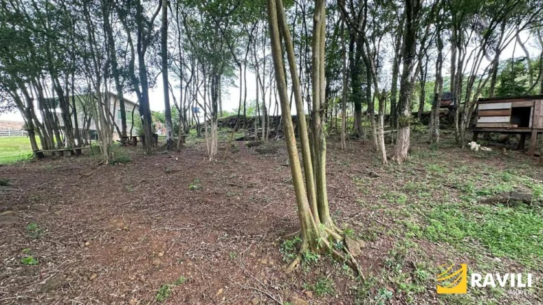 Sitio para venda em Sede Belem