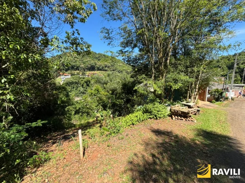 Terreno no bairro Frei Bruno