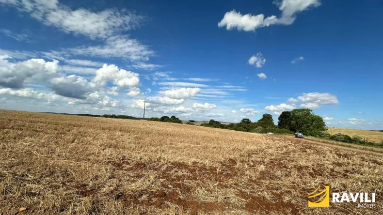 Fazenda para à Venda Próximo de Campos Novos!