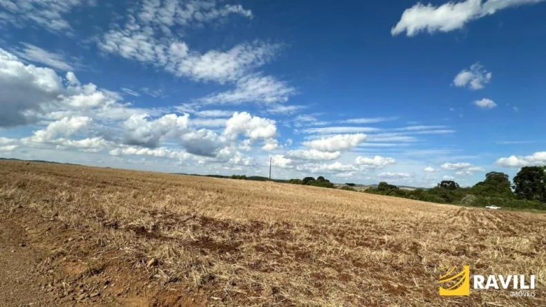 Fazenda para à Venda Próximo de Campos Novos!