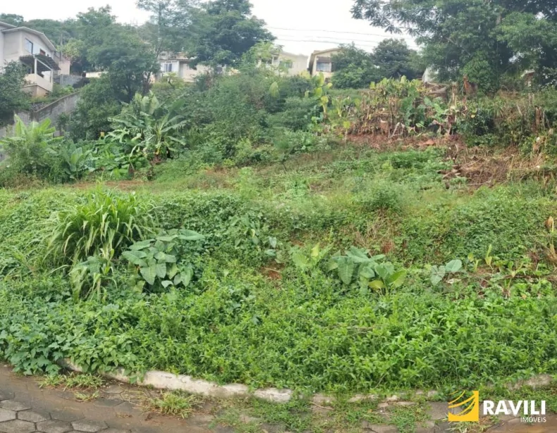 Terreno à Venda no Bairro Santa Tereza.