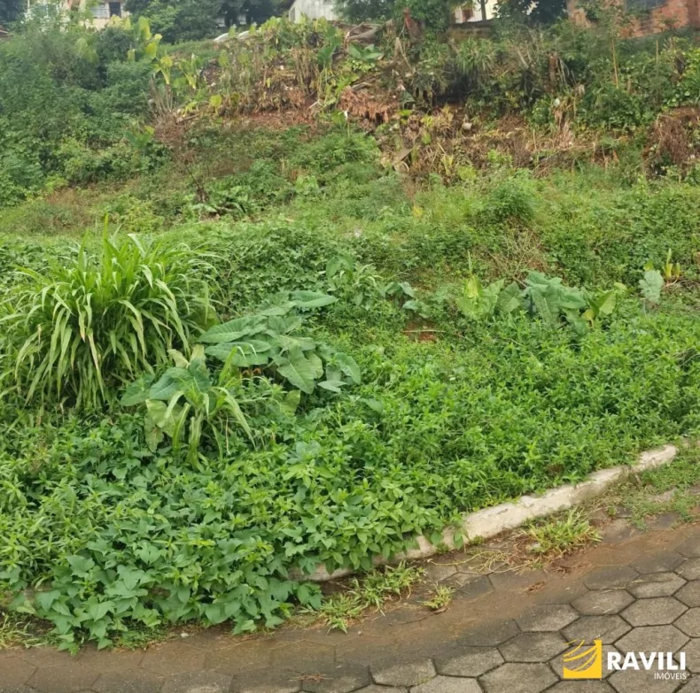 Terreno à Venda no Bairro Santa Tereza.