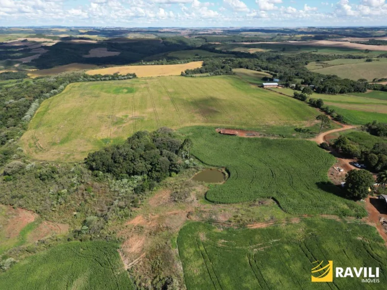 EXCLUSIVIDADE - Fazenda à Venda em Erval Velho 
