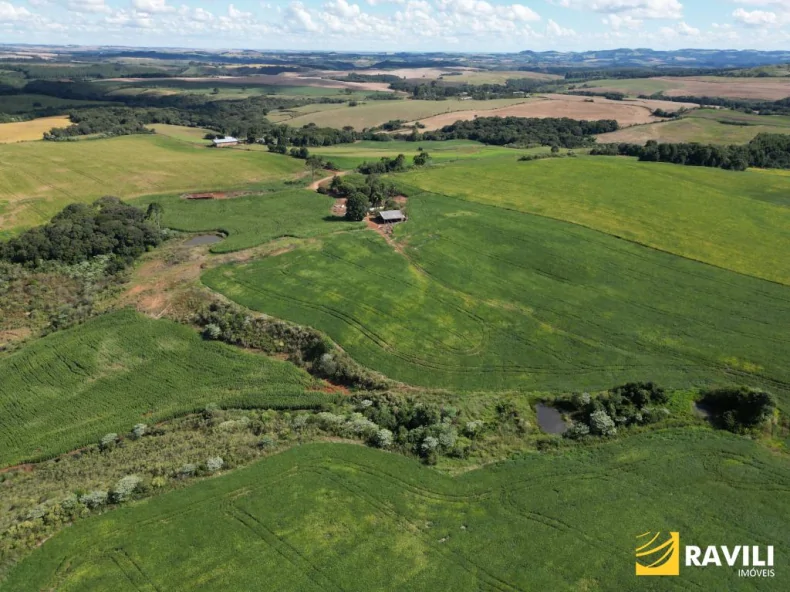 EXCLUSIVIDADE - Fazenda à Venda em Erval Velho 