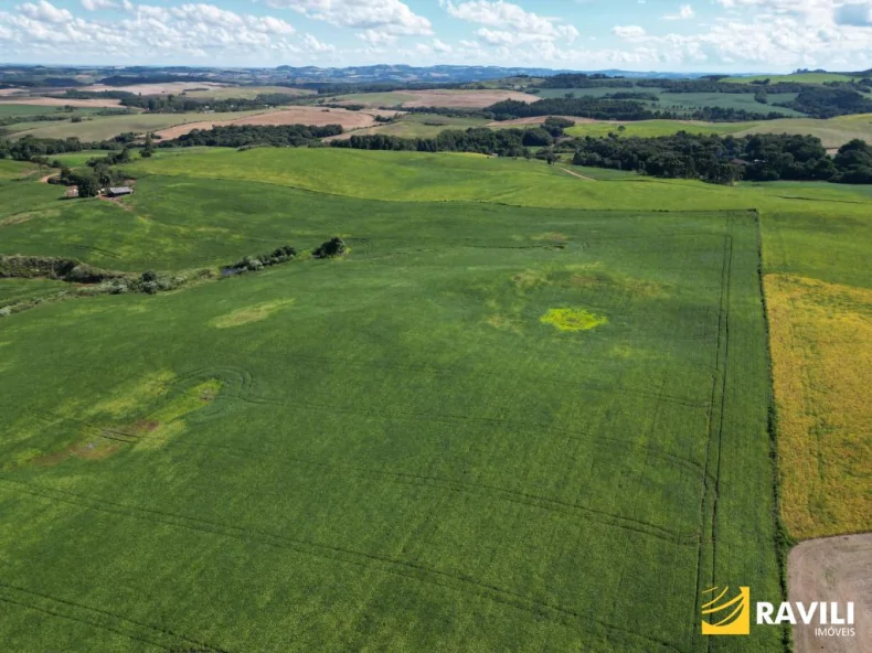 EXCLUSIVIDADE - Fazenda à Venda em Erval Velho 