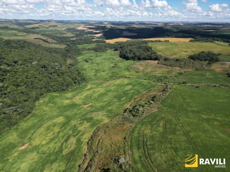 EXCLUSIVIDADE - Fazenda à Venda em Erval Velho 