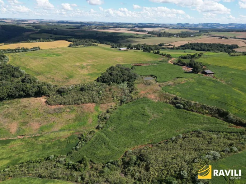 EXCLUSIVIDADE - Fazenda à Venda em Erval Velho 