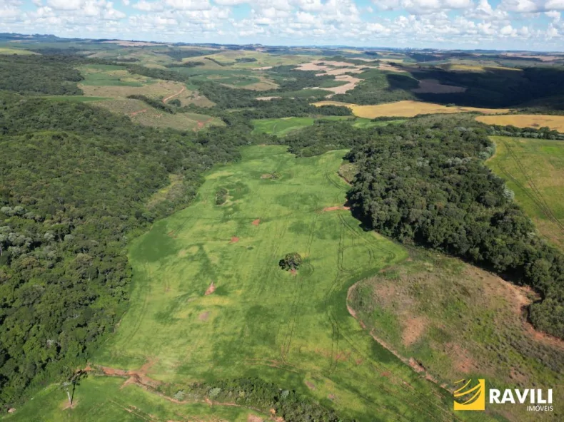EXCLUSIVIDADE - Fazenda à Venda em Erval Velho 