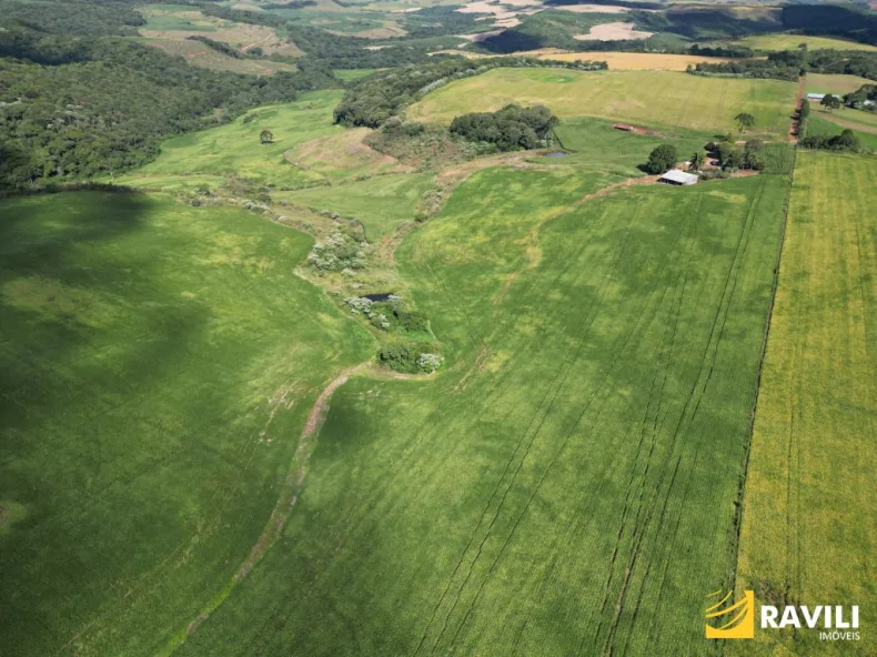 EXCLUSIVIDADE - Fazenda à Venda em Erval Velho 