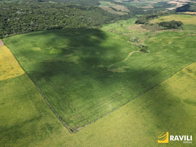 EXCLUSIVIDADE - Fazenda à Venda em Erval Velho 