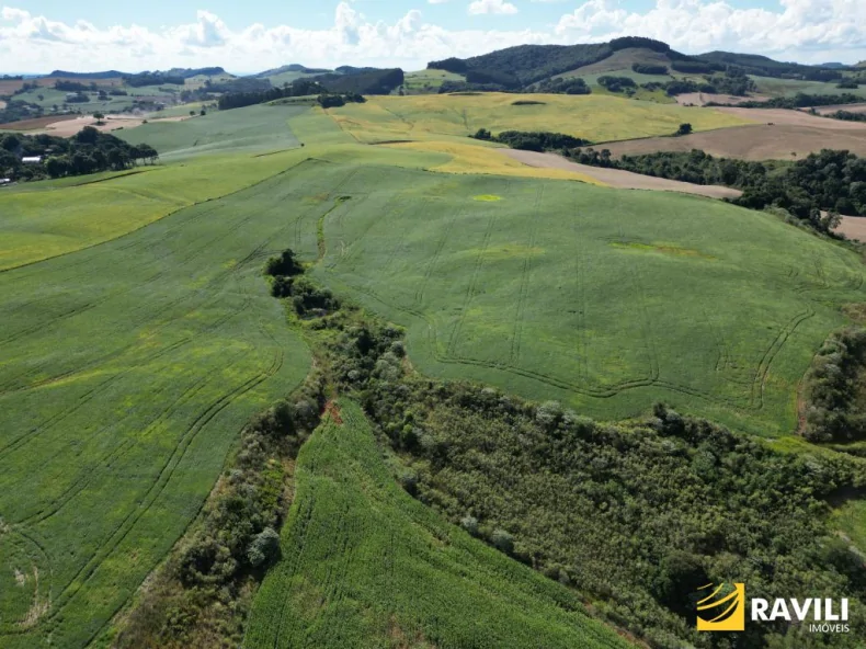 EXCLUSIVIDADE - Fazenda à Venda em Erval Velho 