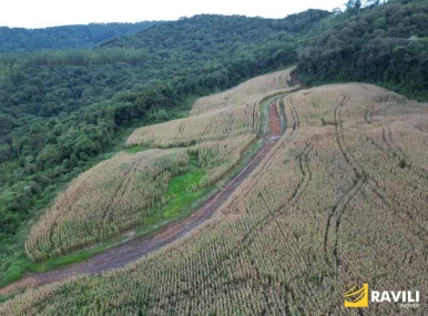 Fazenda em Luzerna com Alto Potencial Agrícola.