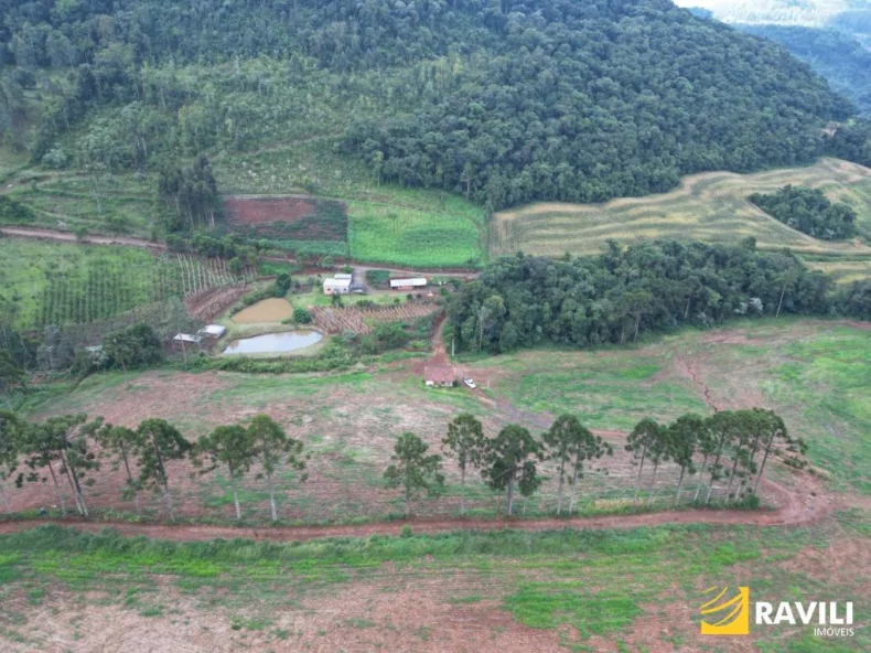 Fazenda em Luzerna com Alto Potencial Agrícola.