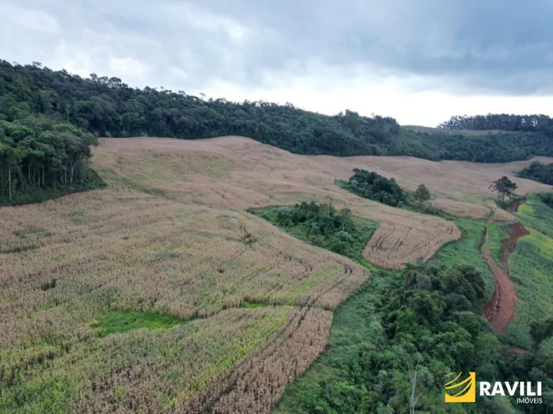 Fazenda em Luzerna com Alto Potencial Agrícola.