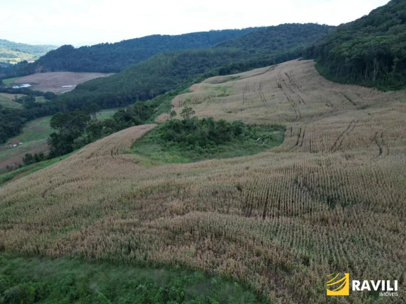 Fazenda em Luzerna com Alto Potencial Agrícola.