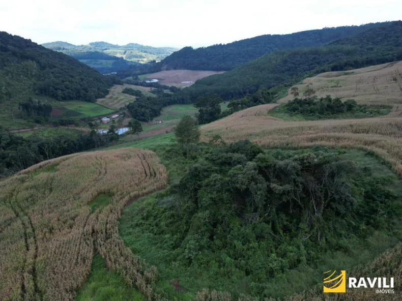 Fazenda em Luzerna com Alto Potencial Agrícola.