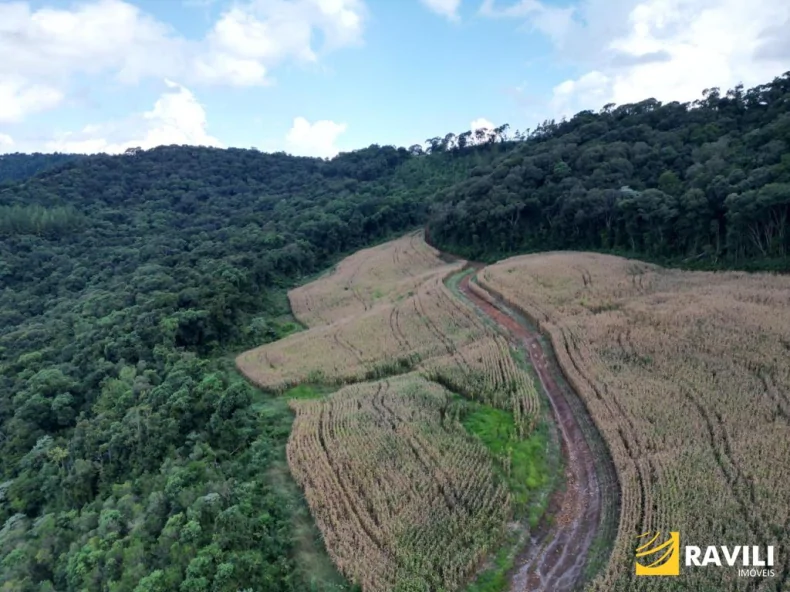 Fazenda em Luzerna com Alto Potencial Agrícola.