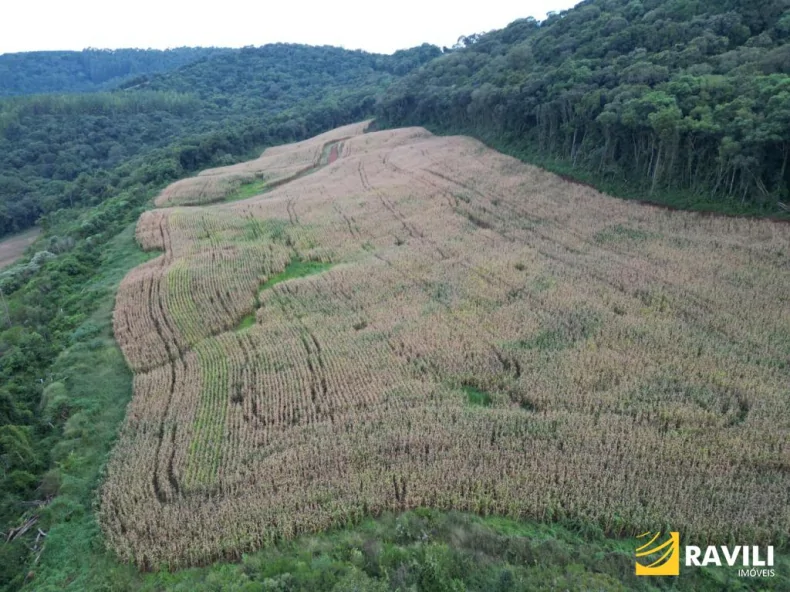 Fazenda em Luzerna com Alto Potencial Agrícola.