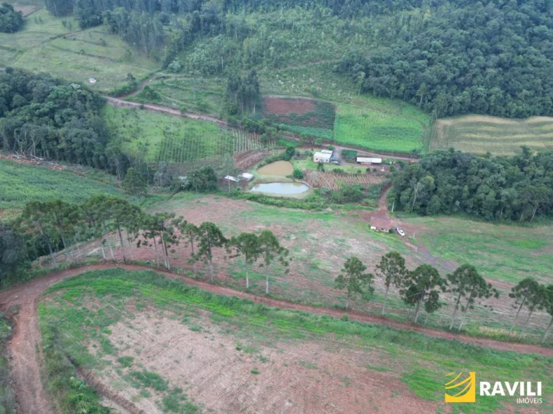 Fazenda em Luzerna com Alto Potencial Agrícola.