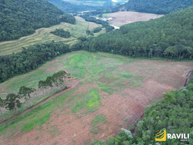 Fazenda em Luzerna com Alto Potencial Agrícola.