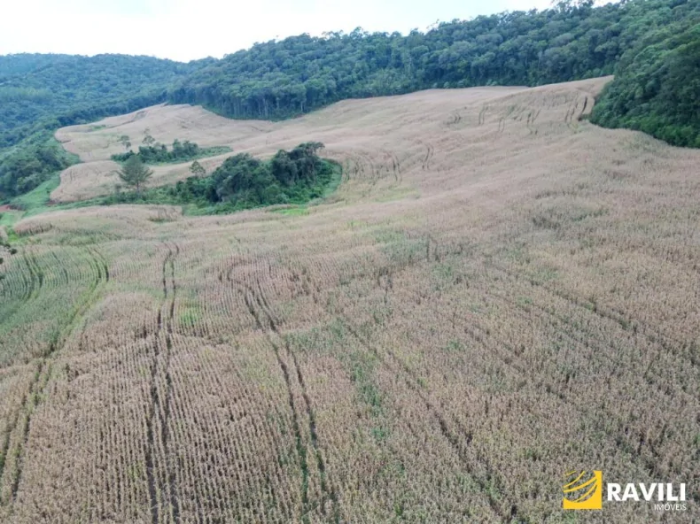 Fazenda em Luzerna com Alto Potencial Agrícola.