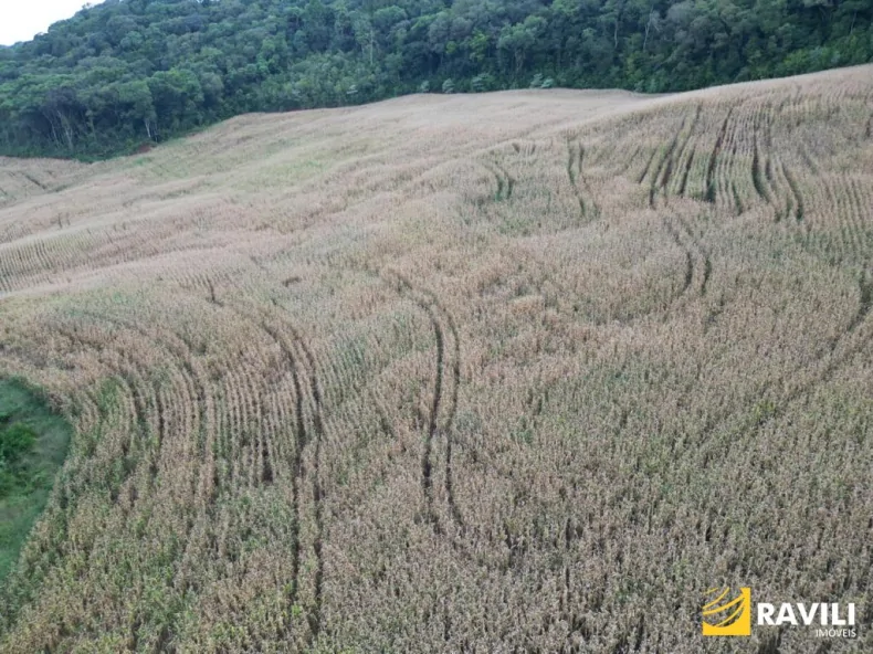 Fazenda em Luzerna com Alto Potencial Agrícola.