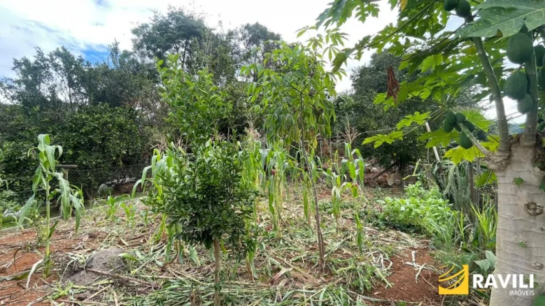 Casa Pavimento Superior para Locação no Bairro Vila Pedrini!