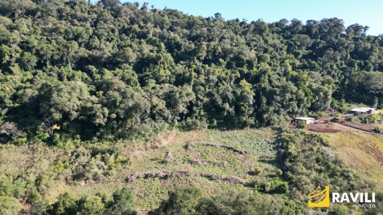 Excelente Terreno Rural com 34.000m² à Venda – Linha Itororó, Interior de Herval d’Oeste/SC!