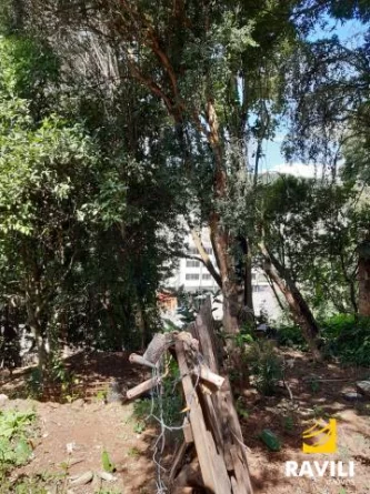 Terreno para Venda no Centro Joaçaba/SC!