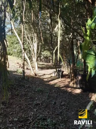 Lindo Sítio localizado na Linha São Bento