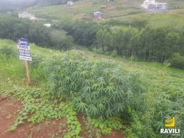 Terreno para Venda Medindo 741,00 m²