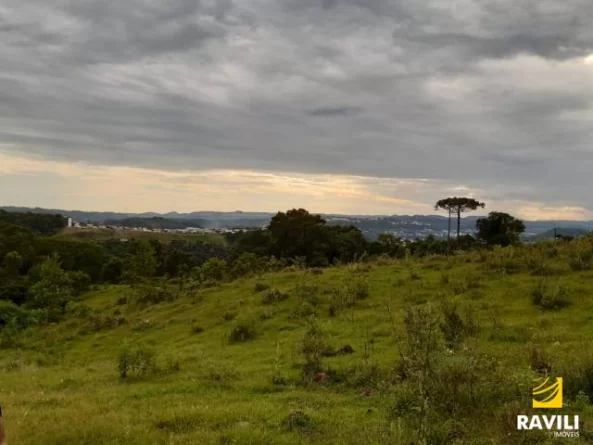 Grande Oportunidade de Investimento