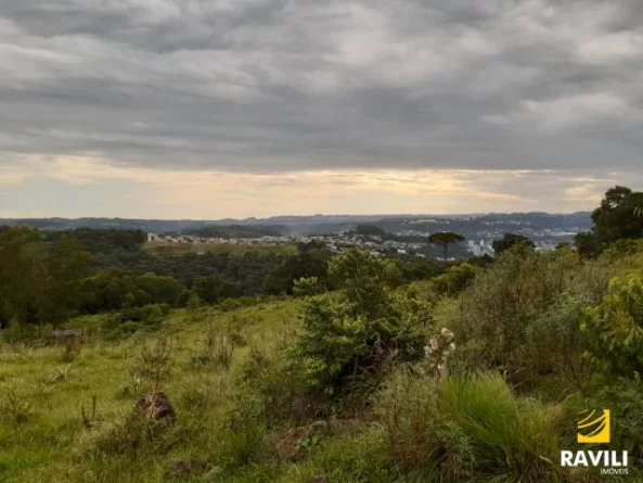 Grande Oportunidade de Investimento