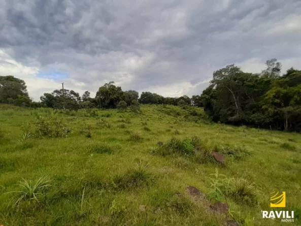 Grande Oportunidade de Investimento