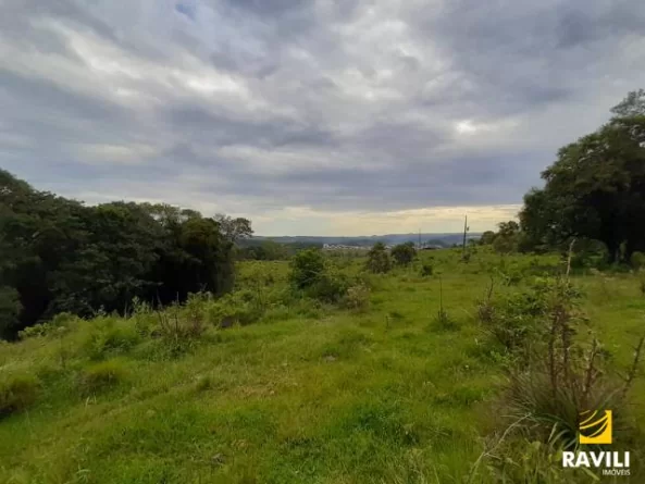 Grande Oportunidade de Investimento