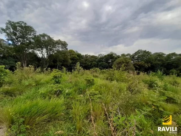 Grande Oportunidade de Investimento