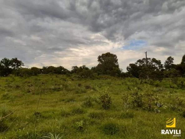 Grande Oportunidade de Investimento