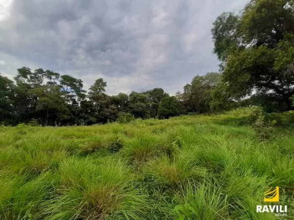 Grande Oportunidade de Investimento