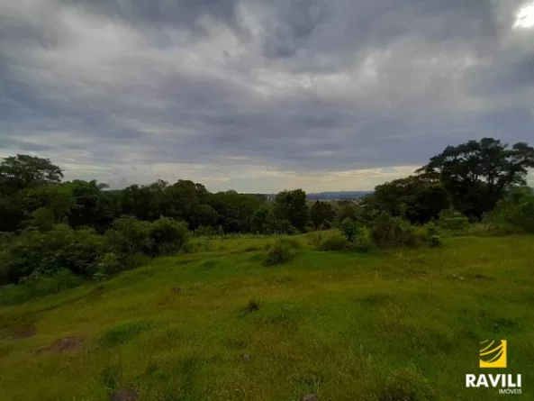 Grande Oportunidade de Investimento